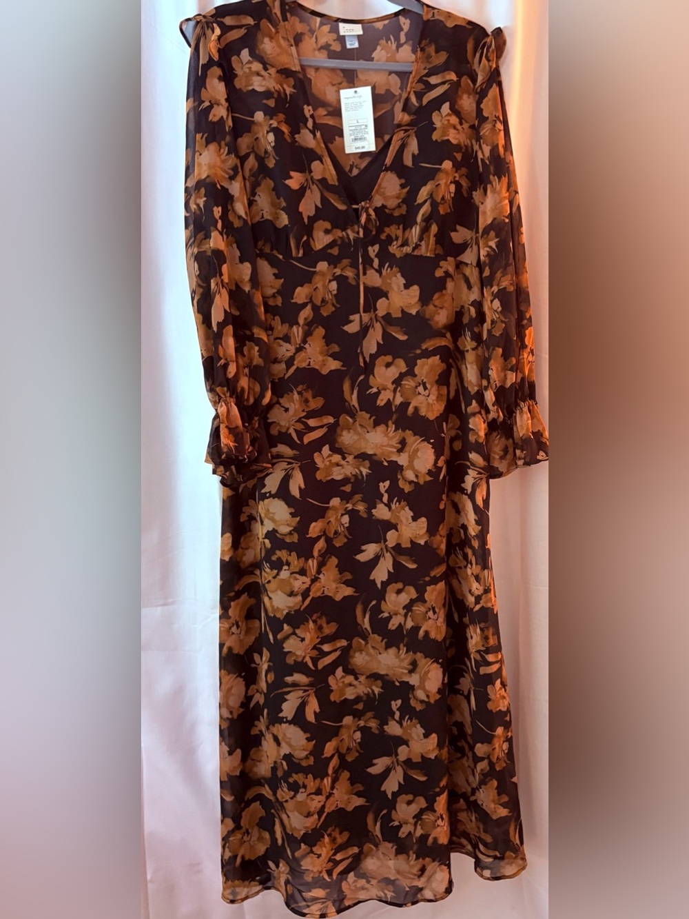 NWT A New Day Women's Long Sleeve Sheer Maxi Dress Brown/Black Floral; Size L